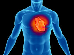   نشانه‏ های مهم بيماری قلبی